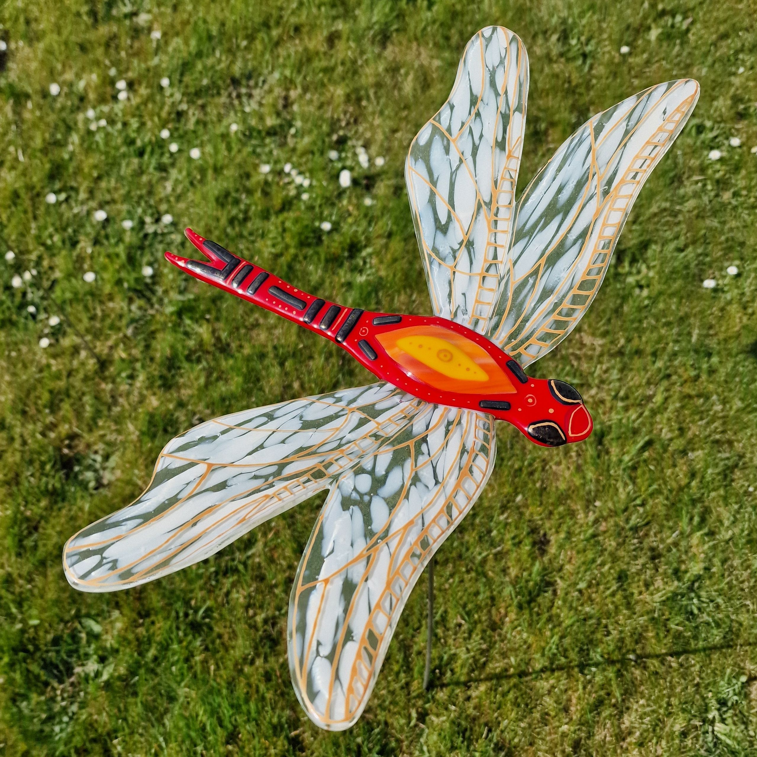 Artists/Images/marije gies_image_libelle rood.jpg